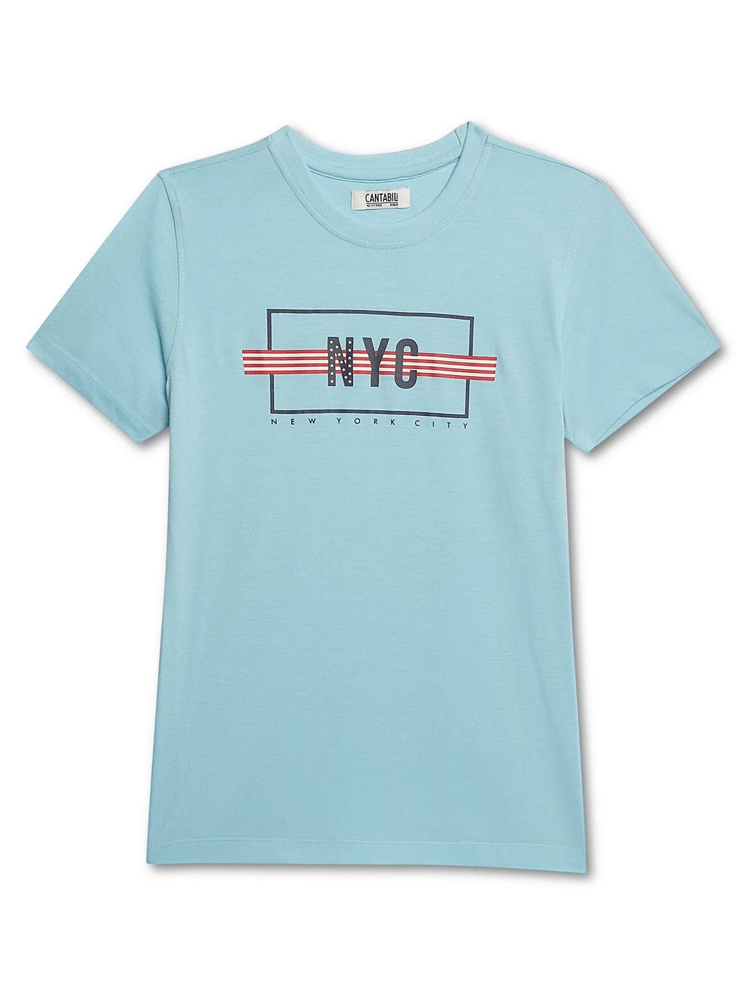 Boys Casual Sky Blue Half Sleeve  T-Shirt