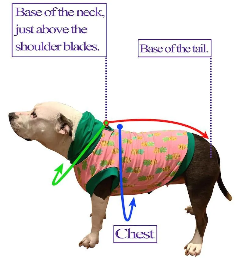 Breaking Plaid - PAWjama with Navy Neck & Trim/Sleeves