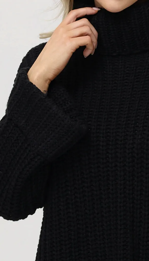 Chunky TurtleNeck Shaker Pullover Sweater