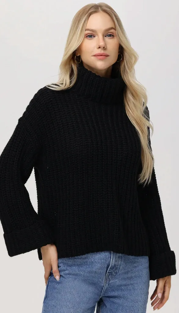 Chunky TurtleNeck Shaker Pullover Sweater